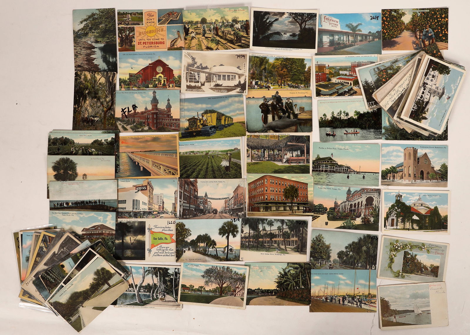Florida Postcards Variety 1906-53 (100+) [179968] (1 of 4)