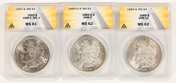 Morgan Dollar VAM Varieties (3) [197919]
