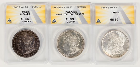 Morgan Dollars (3) [198242]