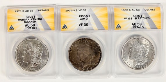 Silver Dollar VAM Varieties (3) [197917]