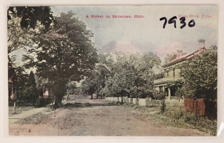 Meigs County; Syracuse Street Scene Postcard [187829]