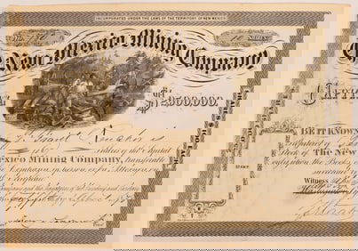 New Mexico Mining Co. Stock, 1878 [180199]