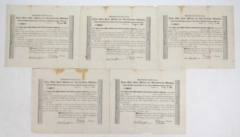 Tioga, Coal, Iron, Mining and Manufacturing Company Stock [195223]