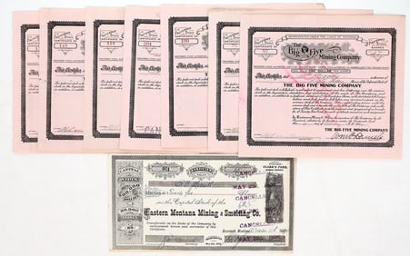 Wyoming Mining Stock Group [195020]