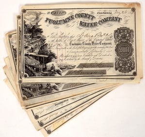 Gold Rush: Tuolumne County Water Company Stock Archive (24) [192717]
