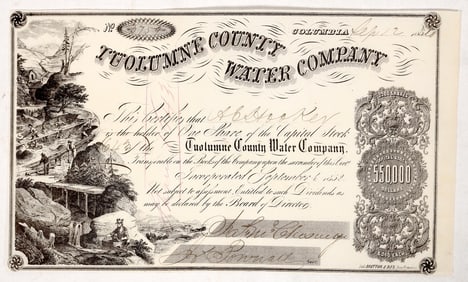 Tuolumne County  Stock for Ambrose Hooker, 1860 [193217]