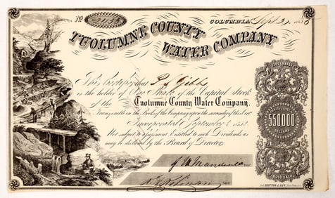 Tuolumne County Water Stock Issued to P Gibbs [192205]
