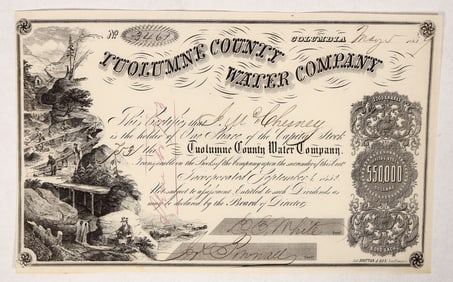 Tuolumne County Water Co. Stock, J W Chesny Issuee [192330]