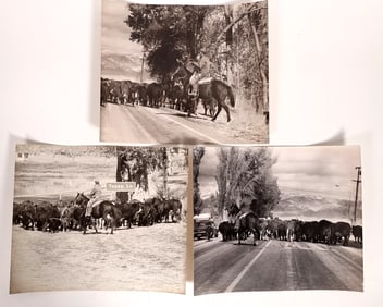Photographs (3), Topaz Lake [175304]