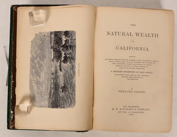 Natural Wealth of California Book c1868 [181336]