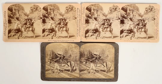Colorado Burro Stereoview Trio [199282]
