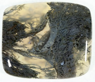 Green Moss Agate in Quartz [193149]