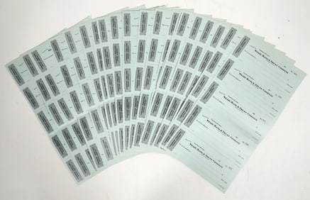 Tonopah Fraction Mining Co. Blank Checks, c. 1903 [198949]