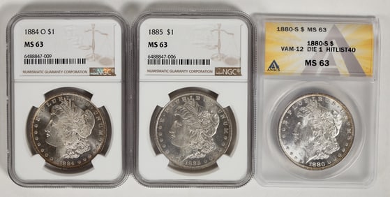 Morgan Dollars with Mirror Fields (3) [199014]