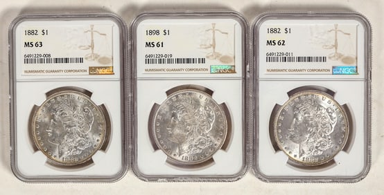 Morgan Dollars: MS 61, 62,63 (3) [199018]