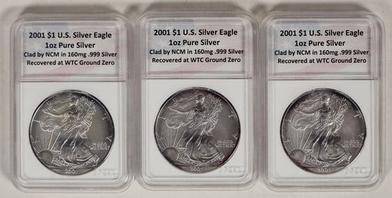 U.S. Silver Eagles Recovered at World Trade Center (3) [198830]