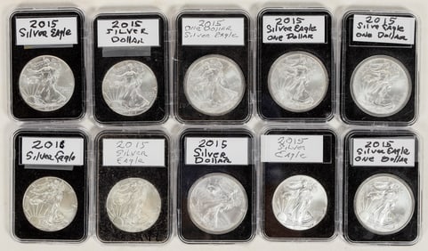 U.S. Silver Eagles 2015 (10) [198771]