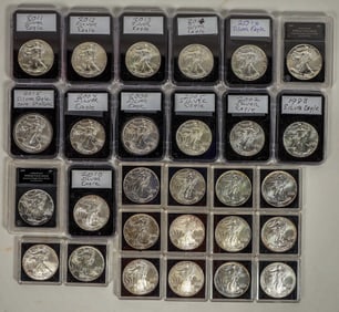 U. S. Silver Eagle Collection (28 dates) [198691]