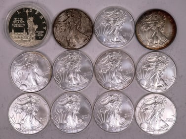 Silver Eagles/Statue of Liberty Dollar (12) [199254]