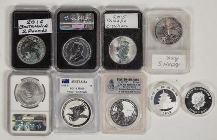 Foreign One Ounce Silver Coin Group (9) [198765]