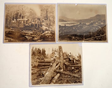 Logging Photos [183915]
