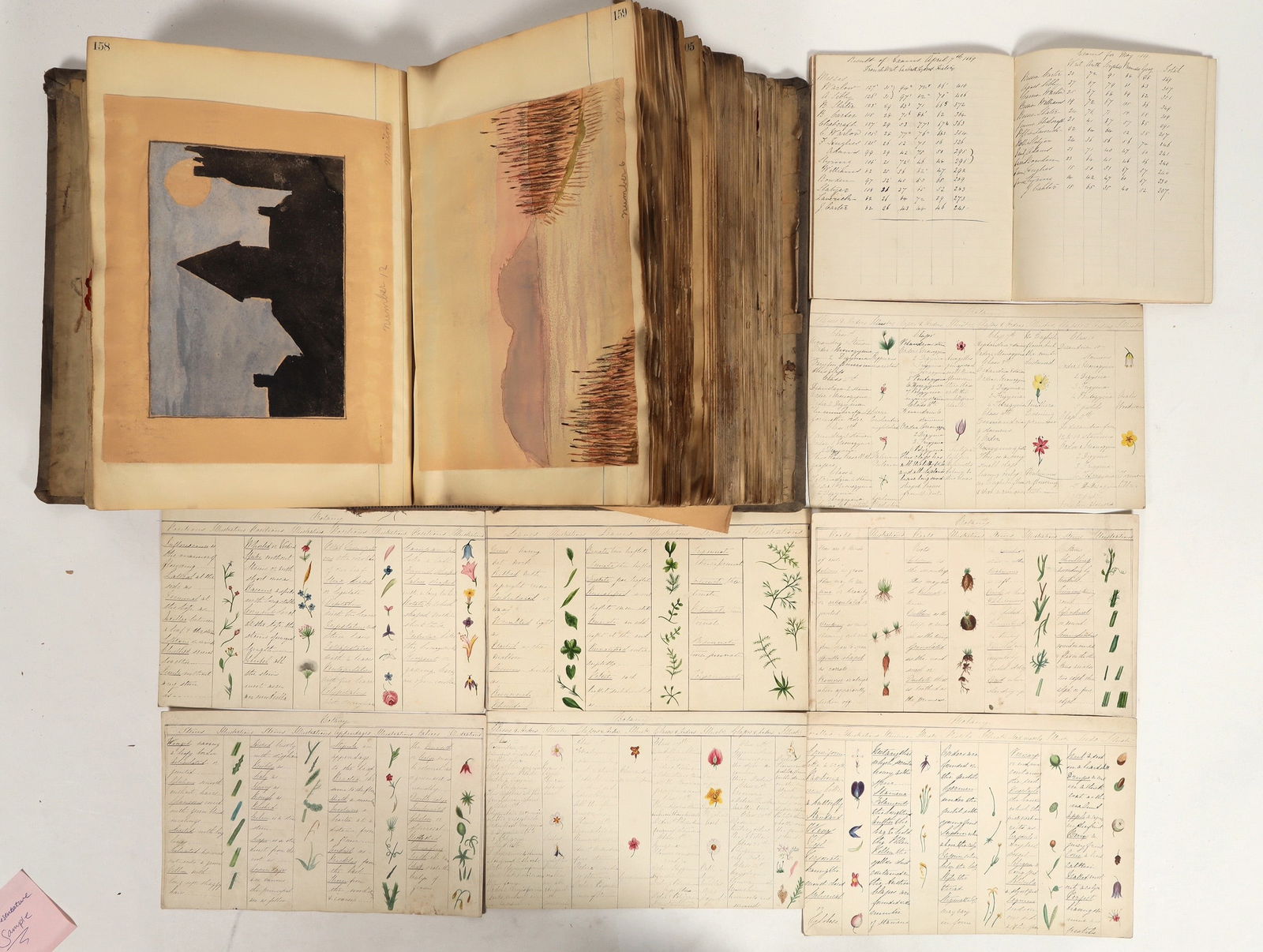 Collection of Illustrations and Drawings From Teachers  [198426] (1 of 6)