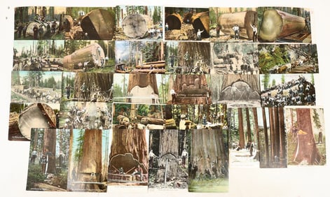 Lumber Jacks Postcards, 30 [197273]