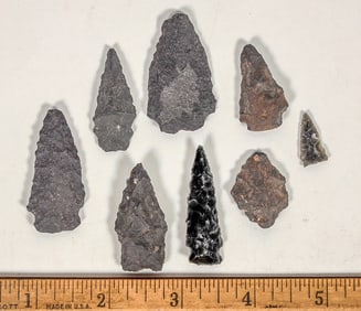 Projectile Points From Washoe County Nevada  (8) [198383]