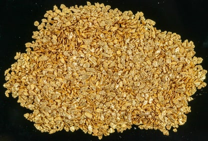 Alaska Placer Gold (14 grams) [197421]