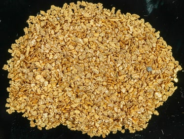 Alaska Placer Gold (17.4 grams) [197420]