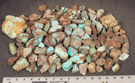 Rough Turquoise, Cut, No. 8 Mine of Nevada [200630]