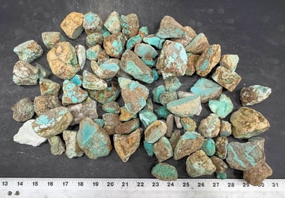 Turquoise - No. 8 Mine Nevada, Grade 1.5 [193064]