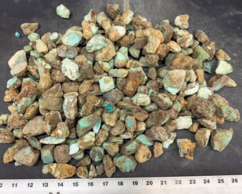 Turquoise - No. 8 Mine Nevada, Grade 2.5 [193266]
