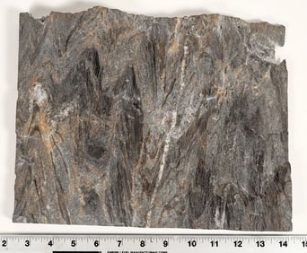 Homestake Formation Specimen, Homestake Mine, South Dakota [199465]
