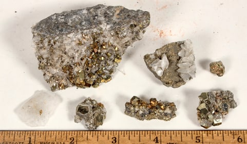 Homestake Mine Crystal Specimens Plus Gold in Quartz Specimen [198725]