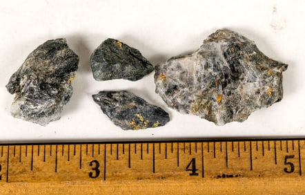 Homestake Mine Gold in High Grade Ore Specimens [199475]