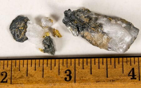 Homestake Mine High Grade Gold Specimen Group [199477]