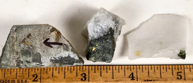 Homestake Mine Visible Gold Ore Specimen Group [199474]