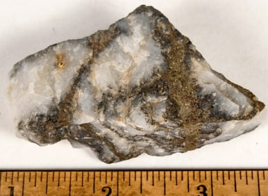 Larger Homestake Mine High Grade Gold Ore Specimen [199478]