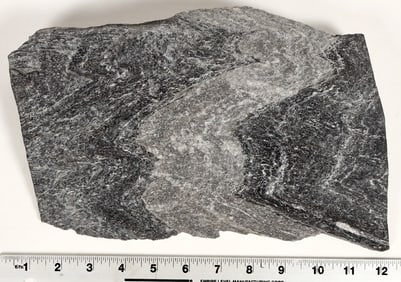 Poorman Formation, Homestake Mine Cut Specimen [199461]