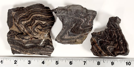 Poorman Formation, Homestake Mine Ore Specimens [199453]