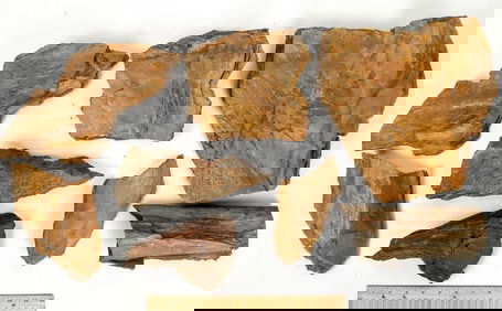 Structural Folds in Poorman Fm. Schist, Lead, SD [199190]