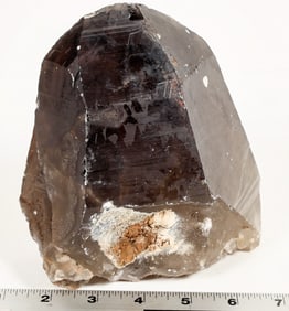 Large Dark Smoky Quartz Crystal [198873]