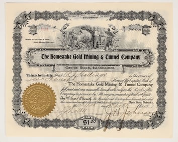 Homestake Gold Mining & Tunnel Company Stock Certificate [200315]