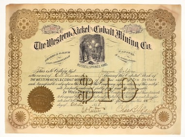 Western Nickel & Cobalt Mining Stock, Kansas, 1888 [165531]