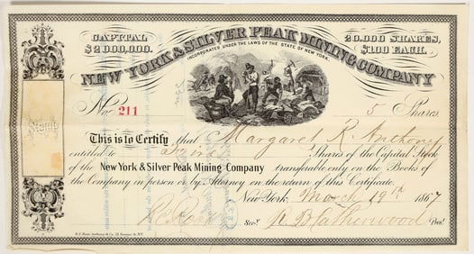 New York & Silver Peak Mining Company Stock Certificate [200470]