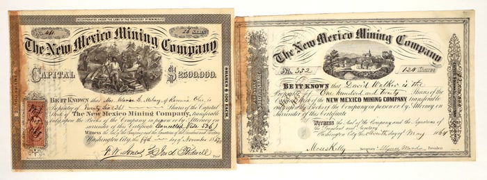The New Mexico Mining Company Stocks [199348]