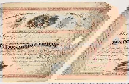 Deadwood-Terra Mining Company Stock Certificate [200339]