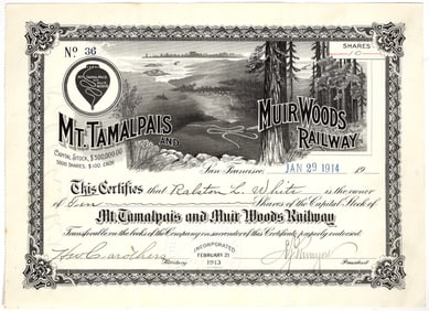 Mt. Tamalpais & Muir Woods Railway Stock Certificate [197505]