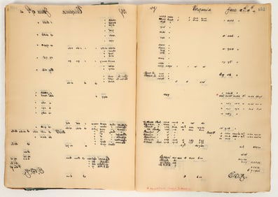 Virginia & Truckee Railroad Ticket Ledger / Letter Copybook, 1890s [197561]